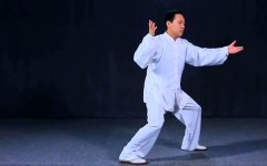 正雷太极书院|陈氏太极拳老架一路陈斌老师教学第二十八式：高探马