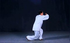 正雷太极书院|陈氏太极拳老架一路陈斌老师教学第二十九式：右擦脚