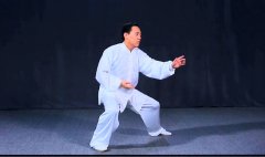 正雷太极书院|陈氏太极拳老架一路陈斌老师教学第三十八式：掩手肱拳