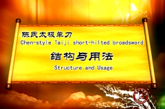 正雷太极书院|陈氏太极单刀陈正雷讲解结构与用法及完整套路
