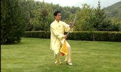 正雷太极书院｜陈氏太极单刀陈正雷老师教学第八式：金鸡独立