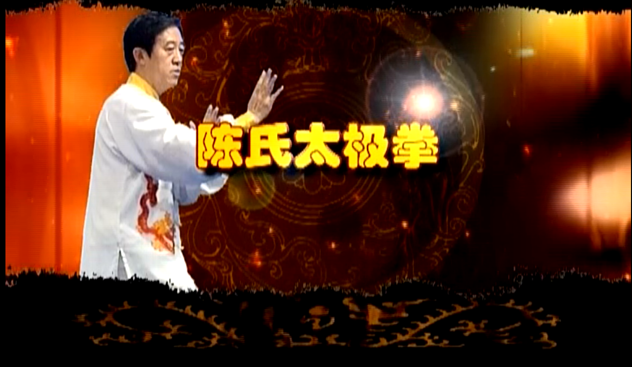 正雷太极书院|陈氏太极推手陈正雷老师教学：源流与特点