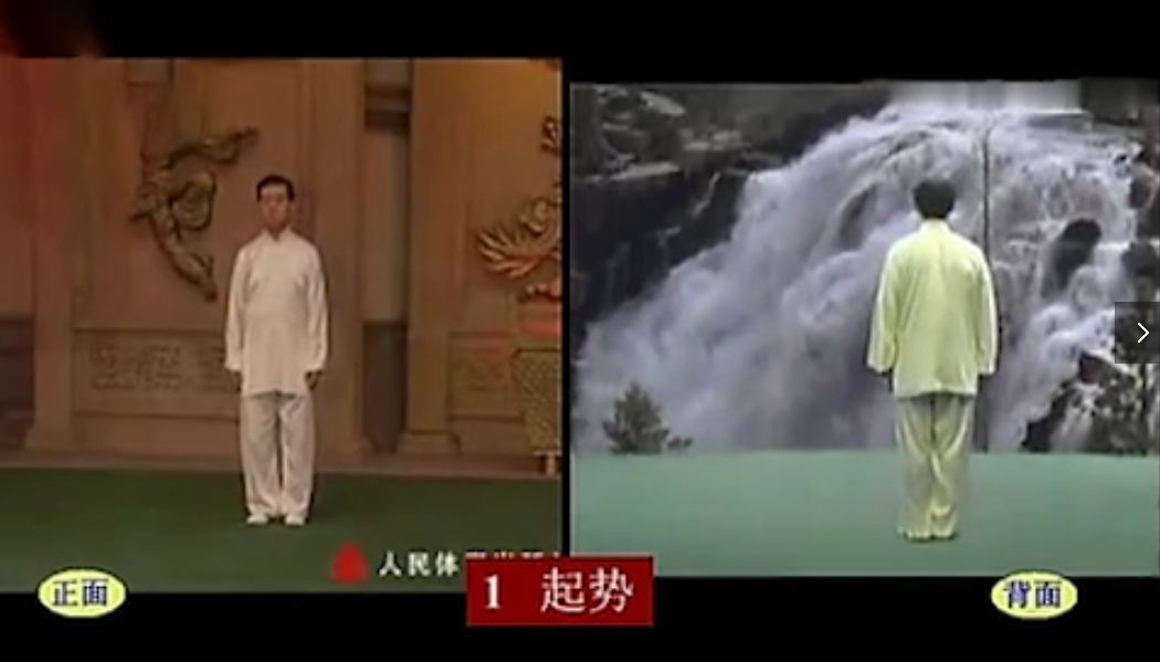 珍藏版！陈氏太极拳陈正雷老架一路正背面合一