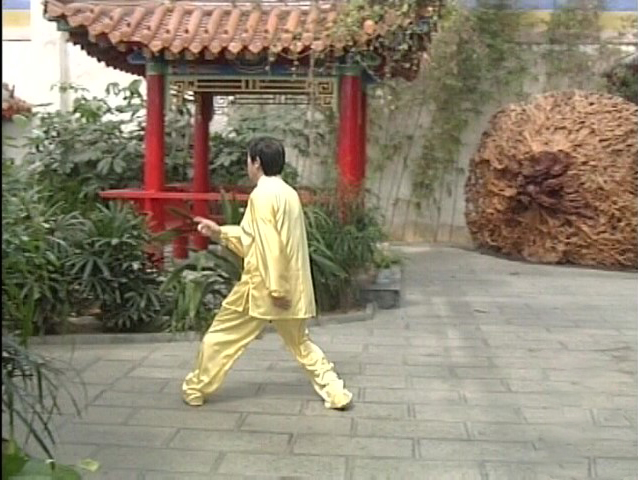 陈正雷老师老架二路教学第十七式：倒骑龙