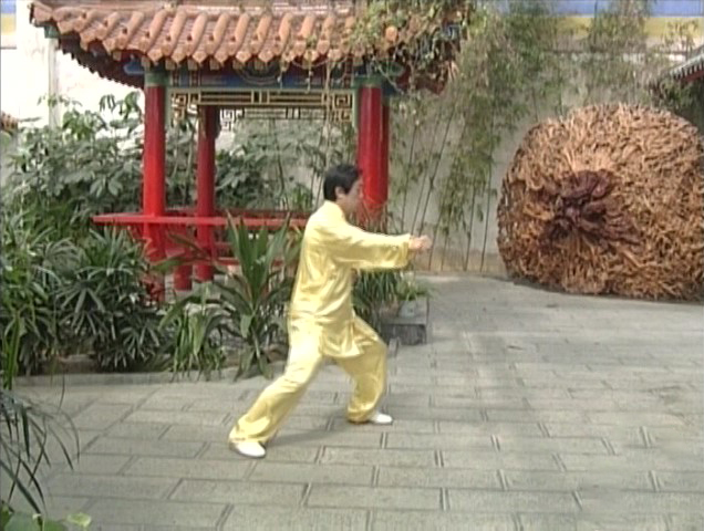 陈正雷老师老架二路教学第十八式：掩手肱拳