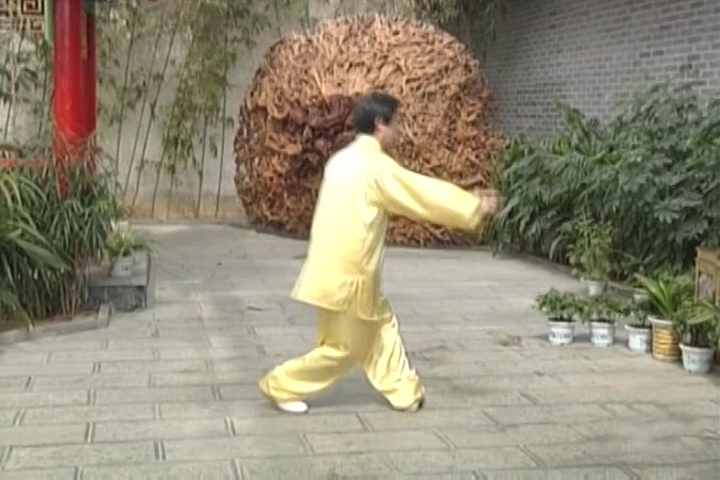 陈正雷老师老架二路教学第二十六式：左冲右冲
