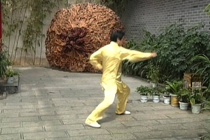 陈正雷老师老架二路教学第二十七式：掩手肱拳