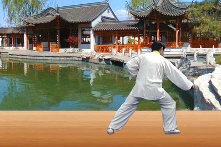 陈正雷老师老架二路教学第三十一式：掩手肱拳