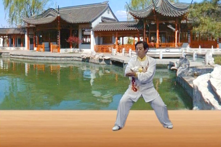 陈正雷老师老架二路教学第三十六式：腰拦肘