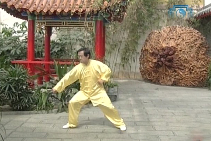 陈正雷老师老架二路教学第三十八式：窝底炮